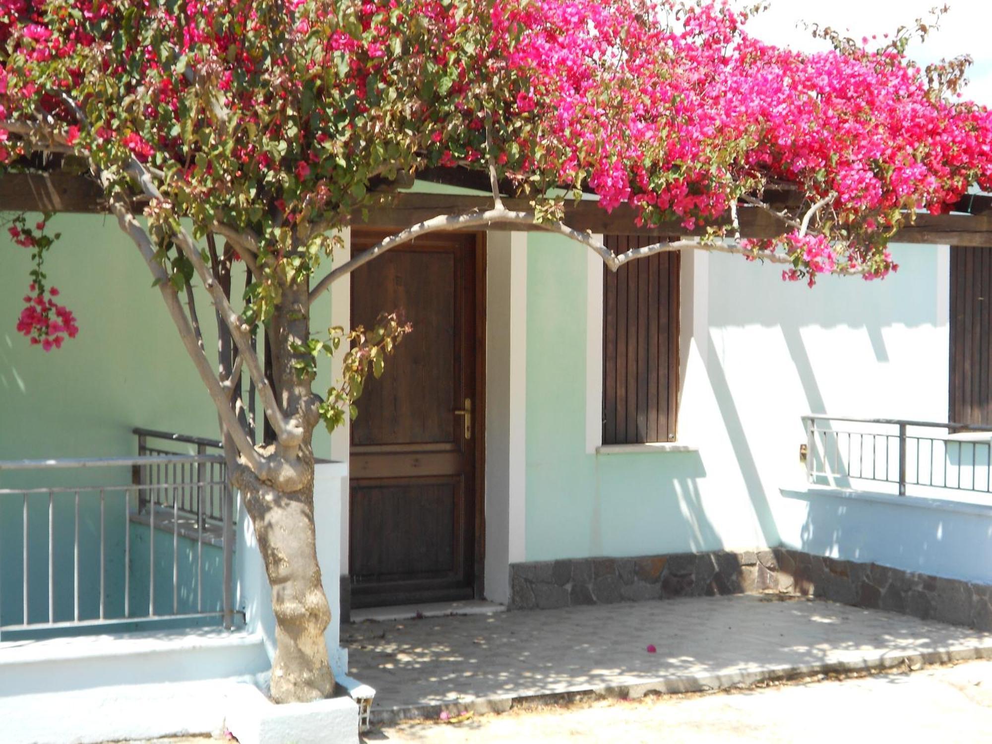 קרדדו La Corte Degli Ulivi מראה חיצוני תמונה