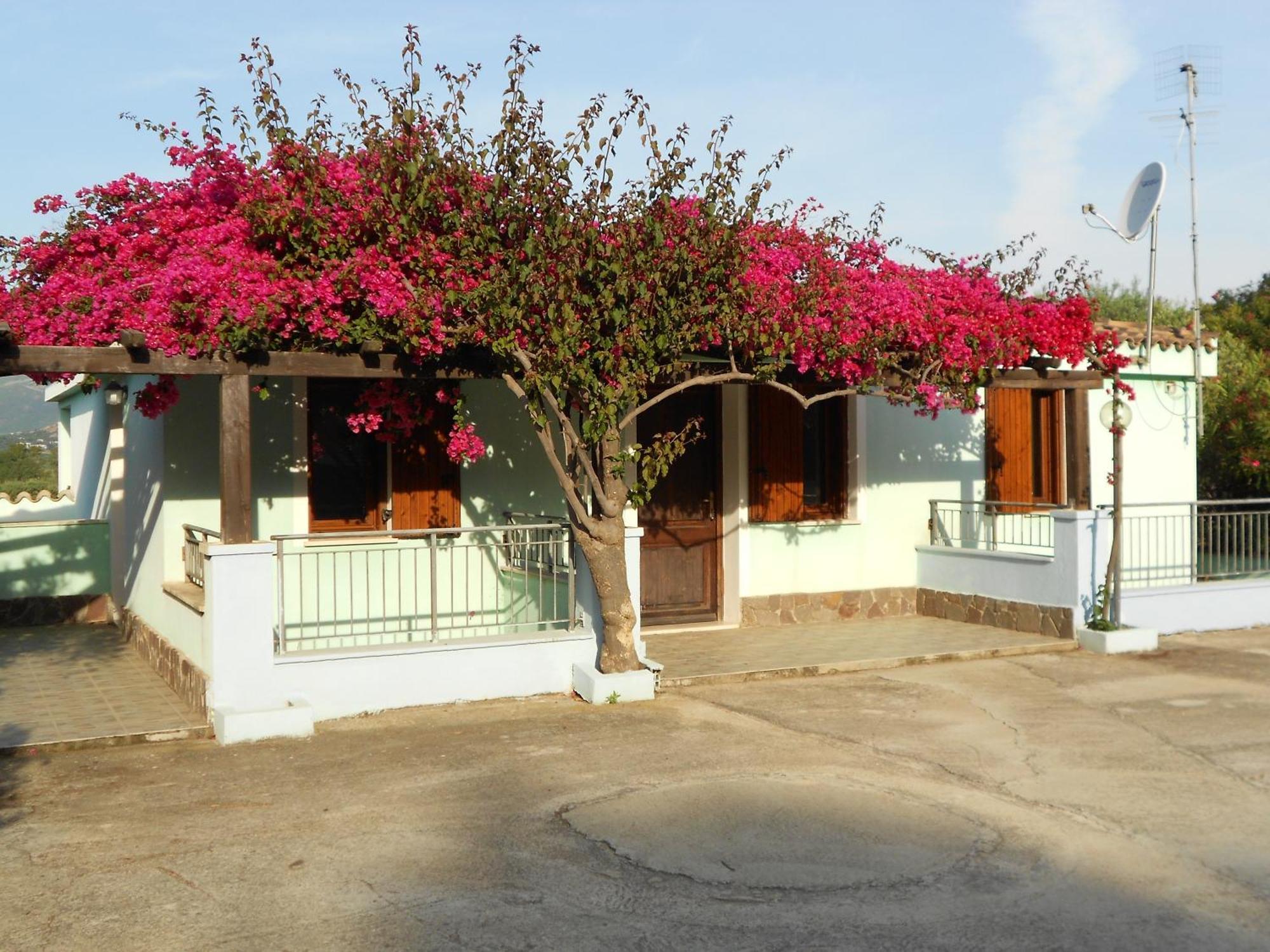 קרדדו La Corte Degli Ulivi מראה חיצוני תמונה
