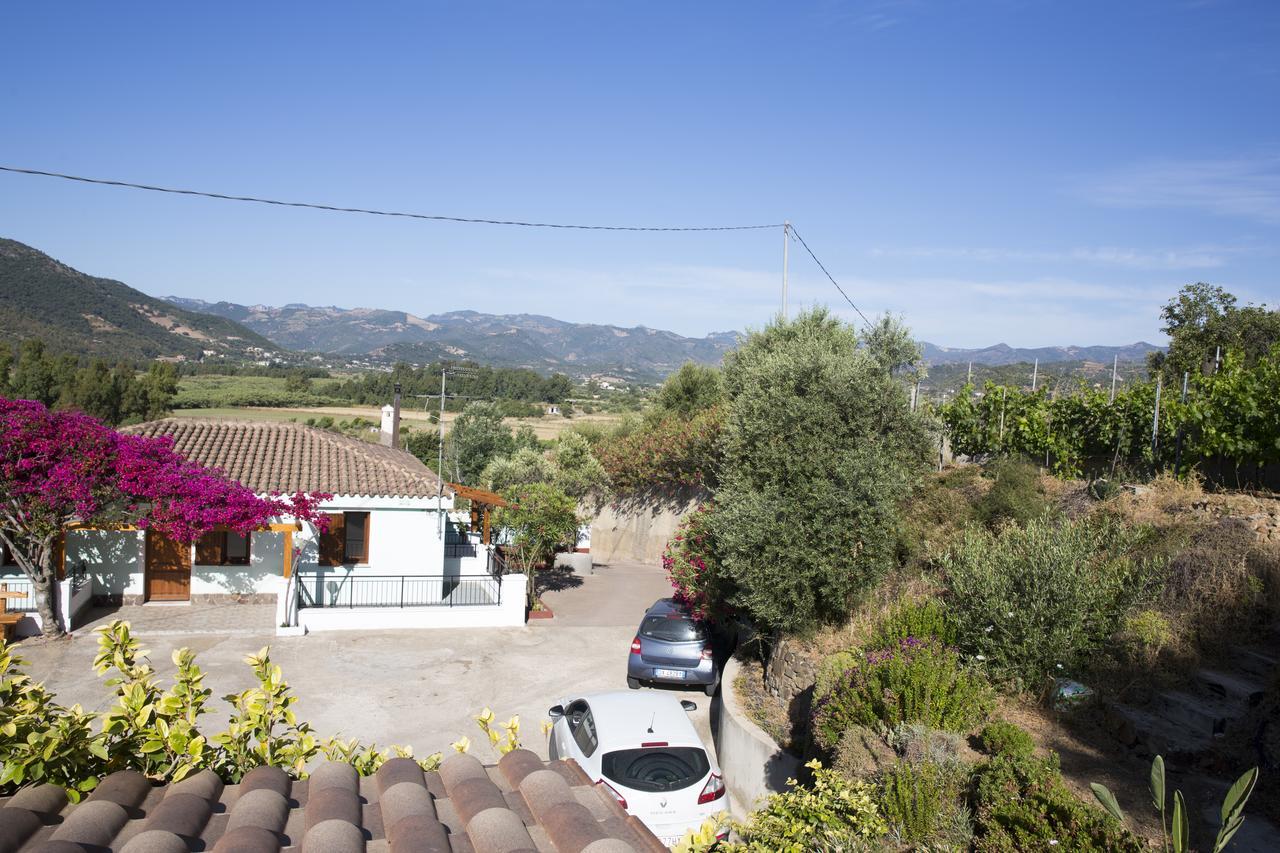 קרדדו La Corte Degli Ulivi מראה חיצוני תמונה
